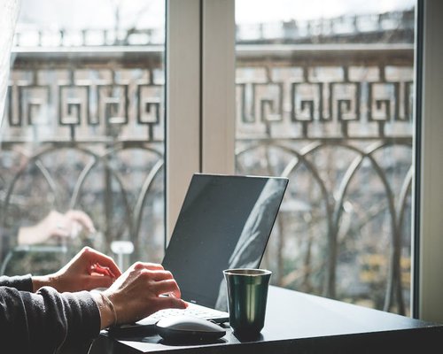 Person working on a laptop at home by a bright window